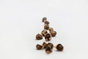 Moringa Seed