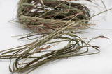 Fever Grass / Lemon Grass